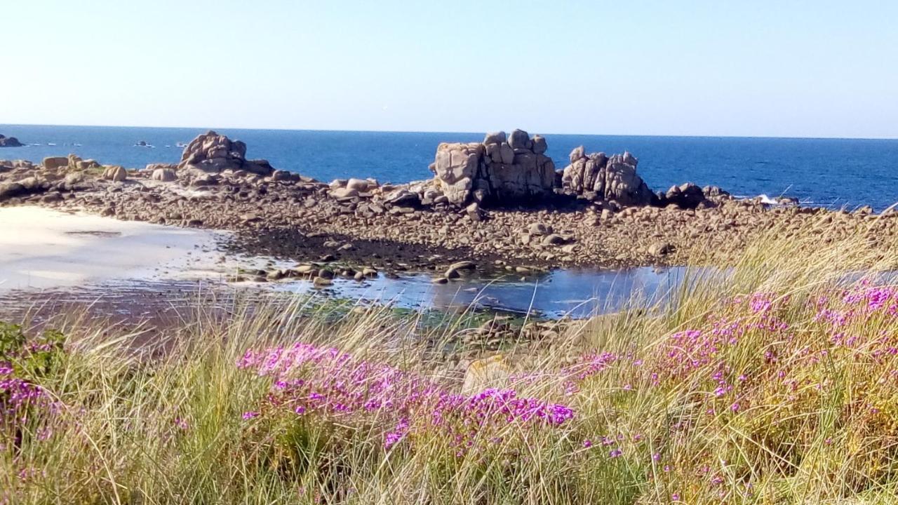 Tiny House Sur La Cote Bretonne Vila Cléder Exterior foto